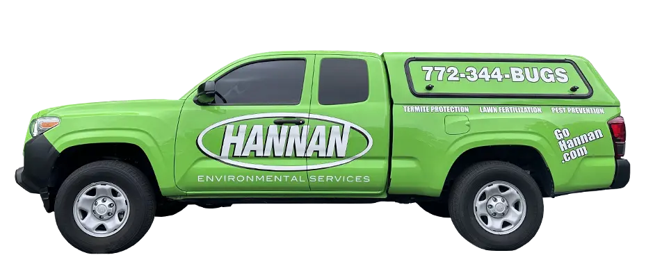 Hannan Environmental Services - Pest Control, Termite Protection
