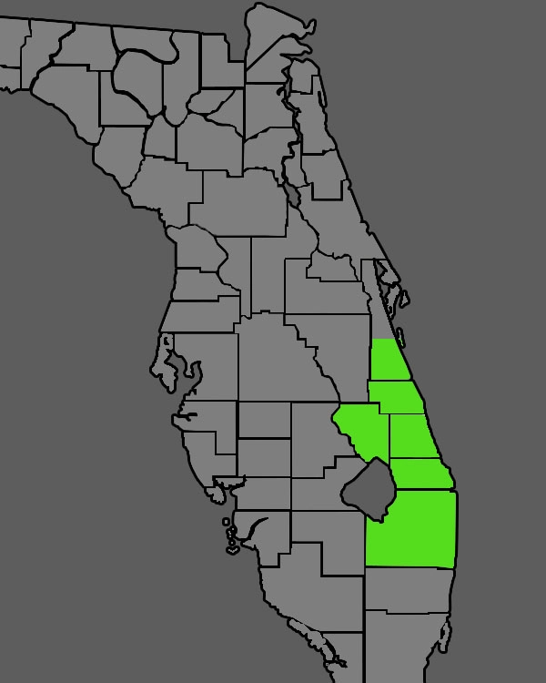 map of florida service areas