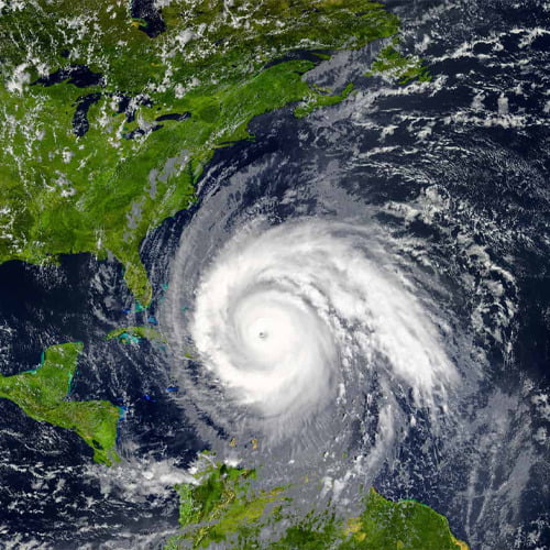 Hurricane season means more bugs - Hannan Environmental Services