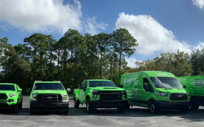 Pest Control Bi-Monthly vs Quarterly