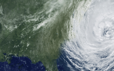 Hurricane season means more bugs