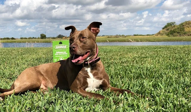 top_menu_header_hannan_pets Voted The Best Pest Control Service In Florida - Free Quote