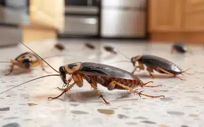 The Most Common Insects In Florida