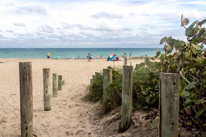 Professional Jensen Beach pest control and termite services Professional Jensen Beach pest control and termite services