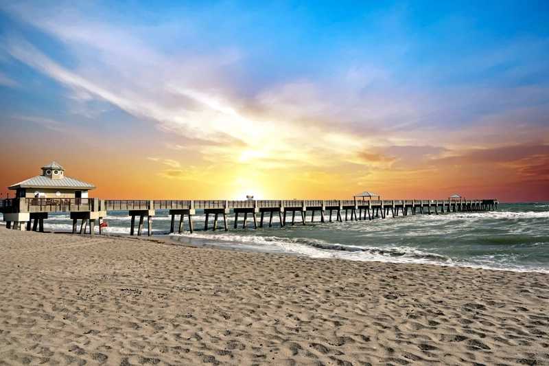Hannan Environmental pest management for Juno Beach and Palm Beach County FL Hannan Environmental pest management for Juno Beach and Palm Beach County FL