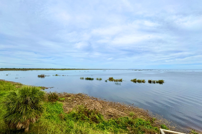 Hannan Environmental Services | Okeechobee | Mosquito Control Hannan Environmental Services | Okeechobee | Mosquito Control