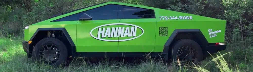 Hannan Emvironmental Services - Port St. Lucie - Termite Protection