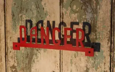 The Hidden Dangers of Pests: Health Risks and Safety Concerns