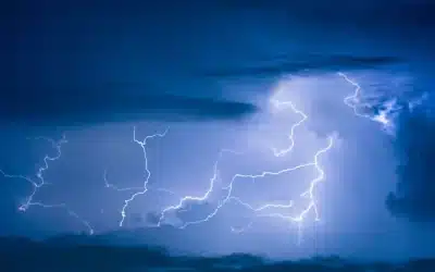 Common Pest Problems After a Thunderstorm