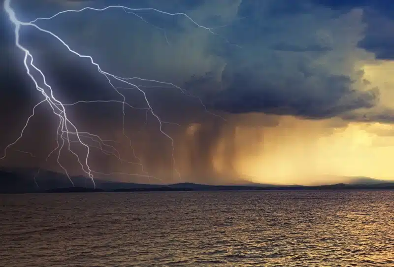 Common Pest Problems After a Thunderstorm