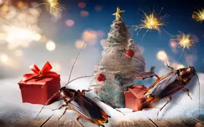 Pests Around the Holidays in Florida
