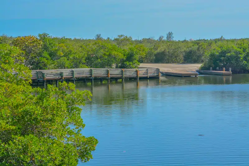 Professional Vero Beach termite and pest prevention services