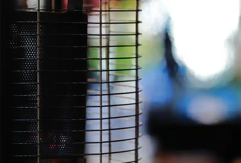 Myths About Bugs in Florida: What You Need to Know - Hannan Environmental Services Blog