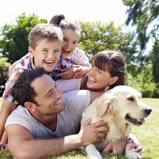 Hannan Pest Control, Termite Protection, Lawn/Shrubs Hannan Pest Control, Termite Protection, Lawn/Shrubs