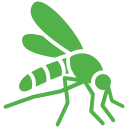 mosquito-4 Pest Control