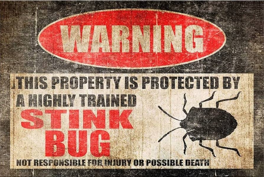 pest control South Florida